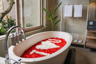 Happy Honeymoon Private Villa - Ubud - 4