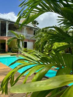 Le Petit Havre Tropical Guadeloupe, Gite, Massages & Spa - Saint-François - 8