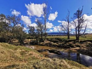Yabbra Road Farmstay - 9