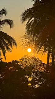 Sunari Beach Resort 2 - Selayar - 9