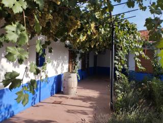 Casa (tipo) RURAL MANCHEGA - La Alameda de Cervera - 9