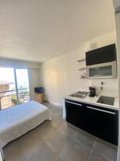 Studio Monaco central - wifi - Beausoleil - 8