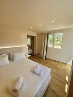 Eva Beach Hotel Lefkada - Nydri - 9