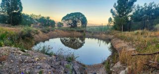 Vredevallei - Caledon - 1