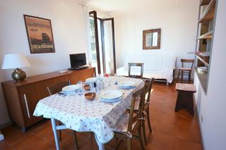Mirtillo Fernarda - Brisino - 1