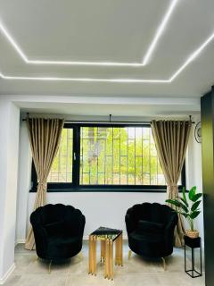 Ppu Home - Timişoara - 1