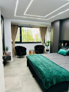 Ppu Home - Timişoara - 3