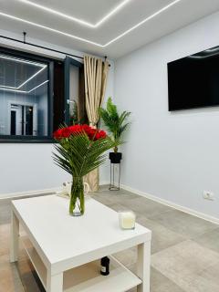 Ppu Home - Timişoara - 0