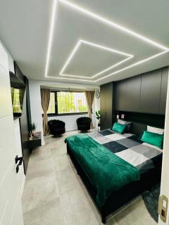 Ppu Home - Timişoara - 5
