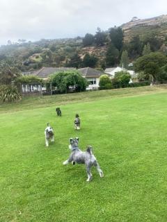 Redcliffs On Park By Sea - Christchurch - 3