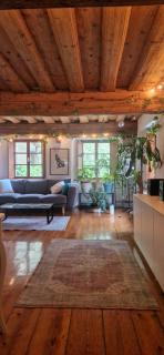 Magic Garden in the heart of Ljubljana - 0