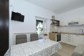 Apartments Alicia - Tkon - 1
