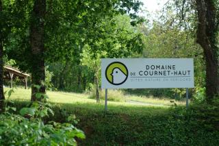 Domaine de Cournet Haut, a 17th century property set on a calm, idyllic domain with pool, tennis, bikes and more - 7