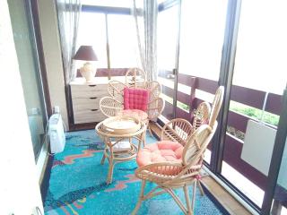 Studio cosy avec terrasse et barbecue à Cazaubon - 28 m² - Cazaubon - 2
