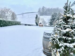 Au Clos des Ormes - 1