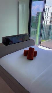 DS Rentals - Entire 1 Bedroom Apartment - London - 1