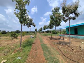 Hiriyur farm House - 4