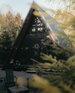 Two Black Cabins - 1