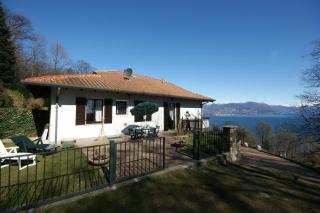 Mirtillo Fernarda - Brisino - 9
