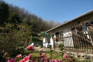 Mirtillo Fernarda - Brisino - 5