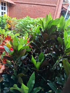 Mudra beach villa Gokarna - 1