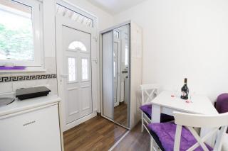 Vila Jevtić studio 1 - Soko Banja - 6