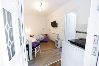 Vila Jevtić studio 1 - Soko Banja - 5