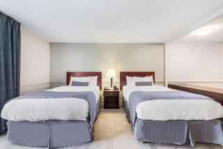 The Blu Hotel Blue Ash Cincinnati, Ascend Hotel Collection - Blue Ash - 1