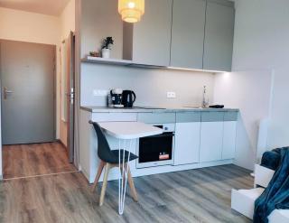 Airport studio for two, free parking, airport view - Prievoz - 7