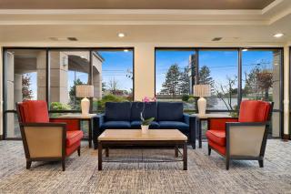 Comfort Inn Bellingham - Bellingham - 2