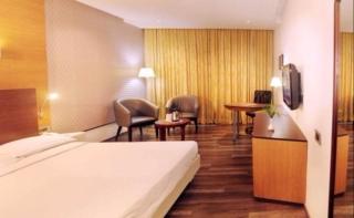 Hotel Indraprastha - 7