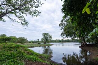 Ayurvedic Lanka Wellness Hotel - 9