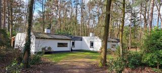 Knabbel en Babbel - Lochem - 9