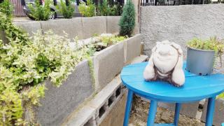 Casa Lui Soare - Predeal - 3