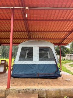 Trippr Chikkamagaluru - 3