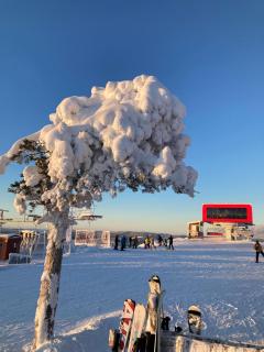 Charmig villa med bastu och snabbt wifi - Långav - 4