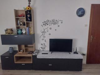Svetlana e Cătălin - 5