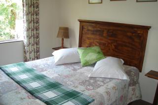 Taunton House B&B - Pietermaritzburg - 8