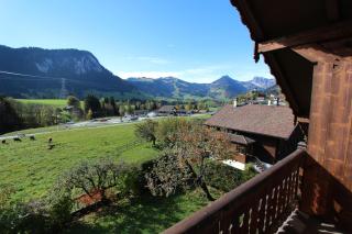Valrose - Chateau-d'Oex - 9