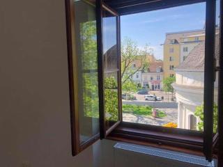 Paraderma Apartment im Zentrum Baden bei Wien - Baden - 1