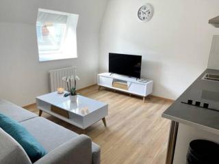 RC3D - Appartement F2 1 à 3 pers Mulhouse - Mulhouse - 5