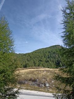 Aux pieds des pistes - La Foux - 1