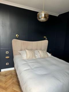 Bel appartement climatisé en plein cœur de Lille - Lille - 1