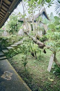 Lembah Sentosa - Ubud - 3