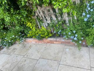 Rehab 2, Gate 24, private Garden - 6