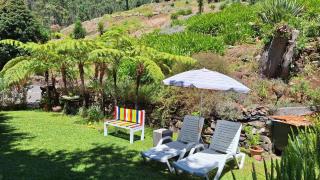 Cantinho Rural - Camacha - 7