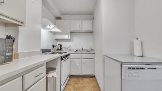 PP 1506 Beautiful Professional 1br Apt, Pool - 4