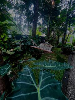 Bodhi garden villa in varkala - 7