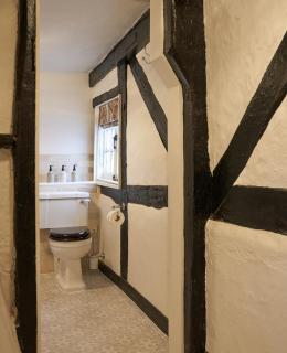 The Chestnut Horse - 3