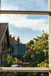 Karaliska Zoss - Ventspils - 2